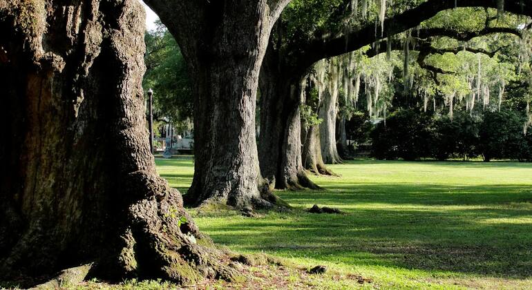 City Park Nueva Orleans: Juego de exploración autoguiada Estados Unidos &mdash; #6