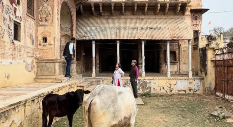 Jaipur Heritage Tour: Food, Temples, Spices & Rickshaw India &mdash; #12