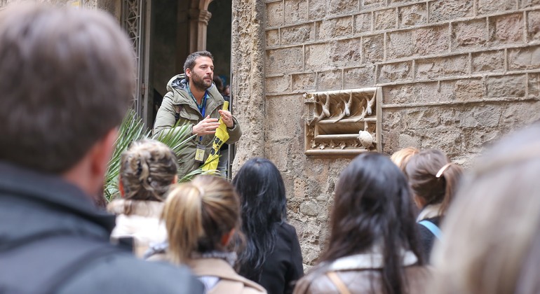 Gothic quarter and Born Free Tour Barcelona
