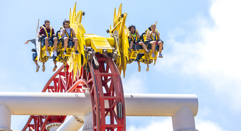 From Valencia: Entrance Ticket and Transfer to Terra Mítica Spain &mdash; #5