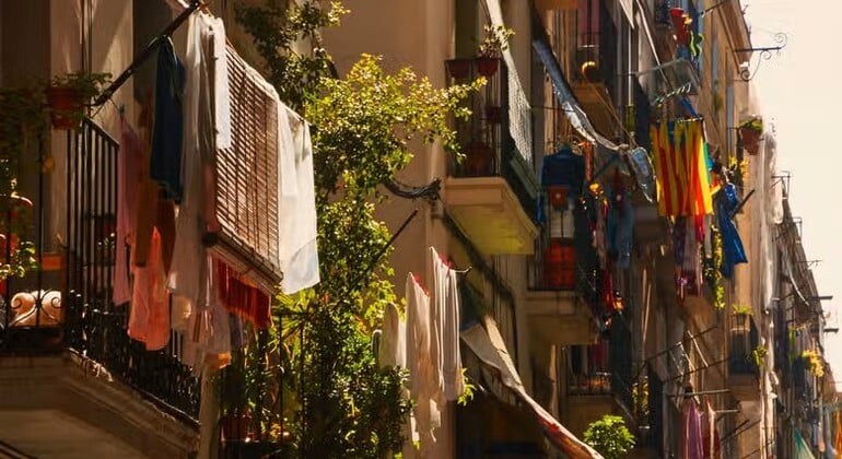 Freetour del Barrio Raval Provided by Mario Noschese