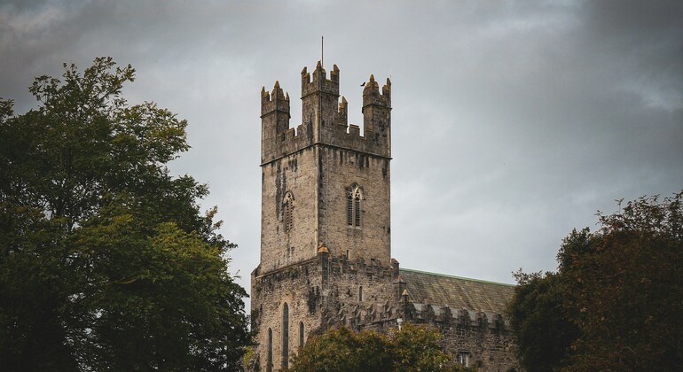 Limerick : Visite à pied gratuite du quartier médiéval Irlande &mdash; #2
