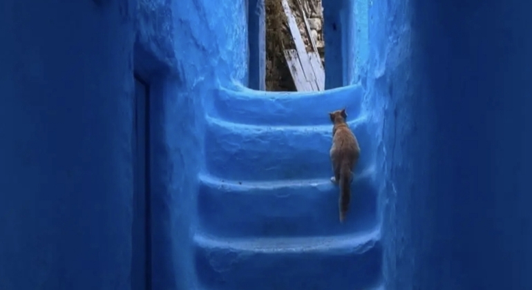 Chefchaouen Free Authentic Walking Tour  Morocco &mdash; #4