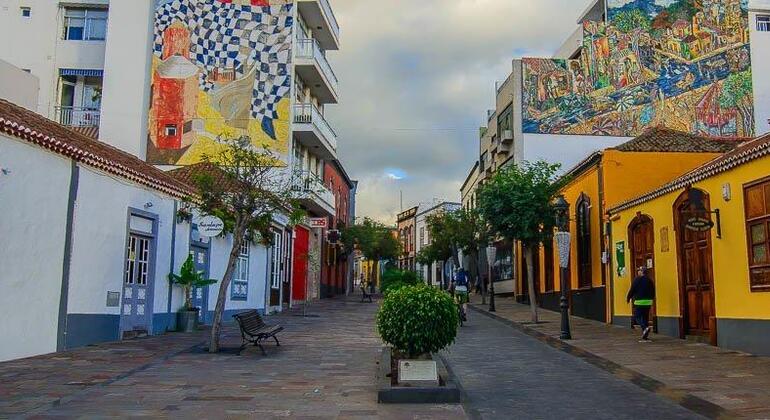 free-tour-los-llanos-de-aridane-art-culture-tradition-en-4