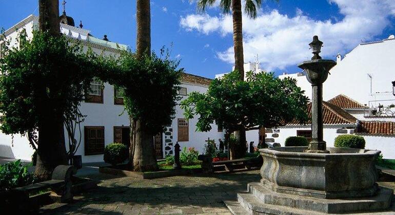free-tour-los-llanos-de-aridane-art-culture-tradition-en-5