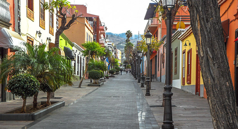 free-tour-los-llanos-de-aridane-art-culture-tradition-en-6