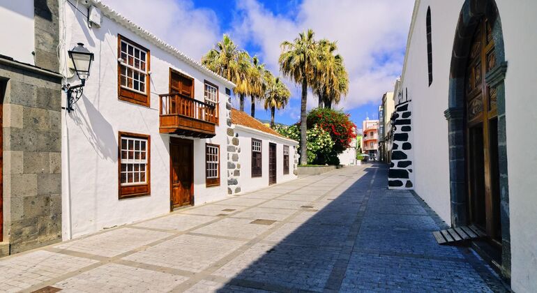 free-tour-los-llanos-de-aridane-art-culture-tradition-en-8