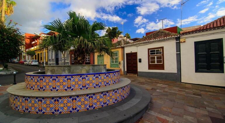 free-tour-los-llanos-de-aridane-art-culture-tradition-en-11