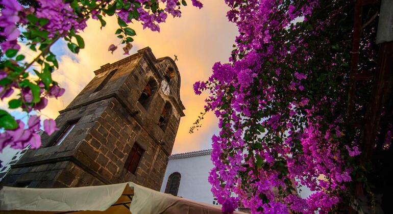 free-tour-los-llanos-de-aridane-art-culture-tradition-en-14