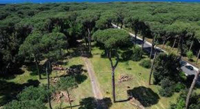 tour-fregene-cycling-with-local-hidden-stories-between-sea-and-forest-en-3