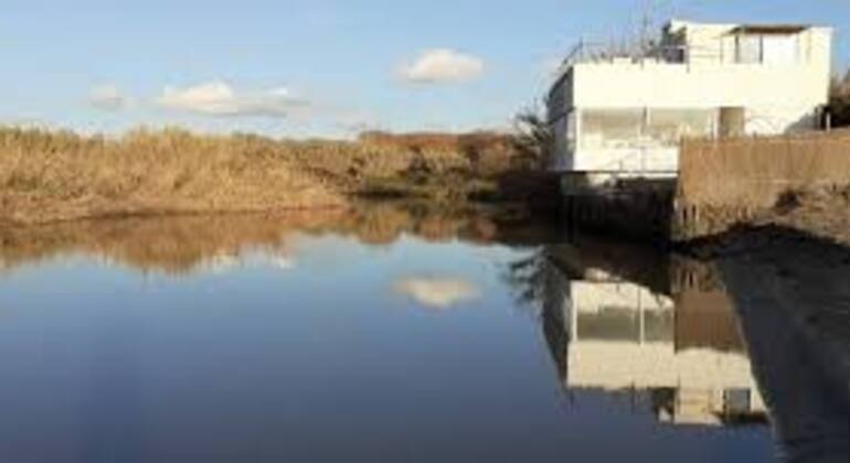 tour-fregene-cycling-with-local-hidden-stories-between-sea-and-forest-en-4