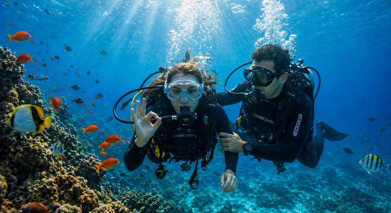 Excursión de buceo en tierra a Kundu y Lara  Turquía &mdash; #3