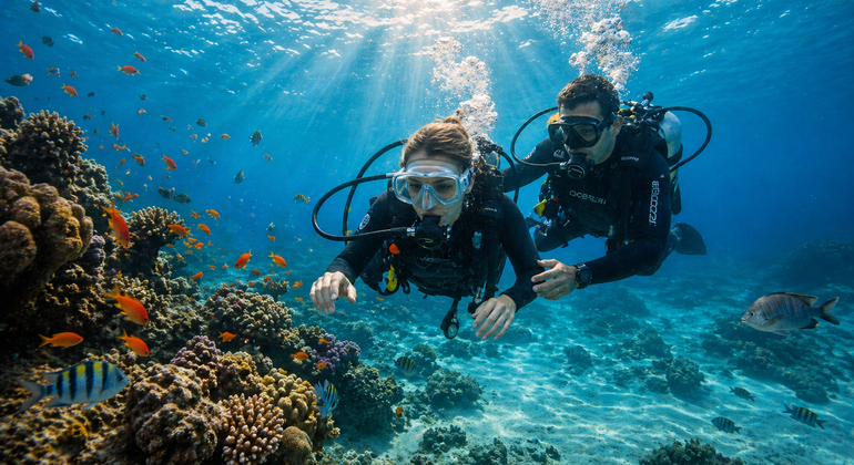 Excursión de buceo en tierra a Kundu y Lara  Turquía &mdash; #5