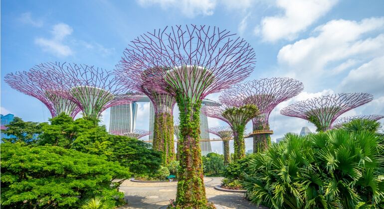 Singapore City Centre: Self-Guided Exploration Game Singapore &mdash; #3
