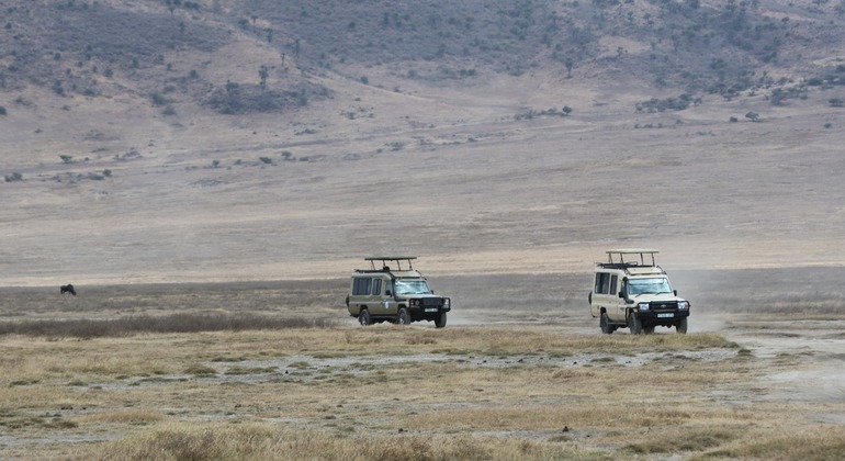 two-day-tanzania-safari-tarangire-and-ngorongoro-crater-from-karatu-en-5