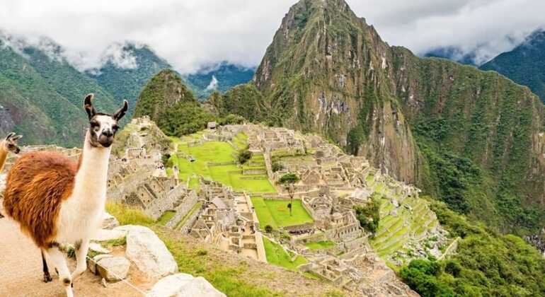 Ganztägige Machu Picchu Panoramazug Tour Peru &mdash; #10