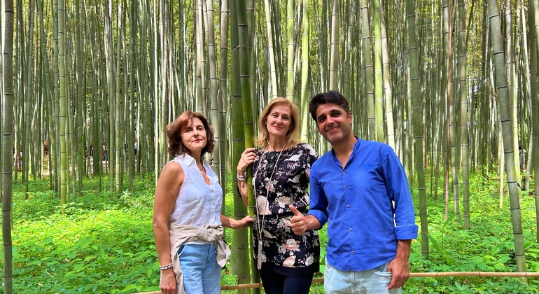 Kioto: Arashiyama Bamboo & Adashino Temple Tour con recogida en el hotel