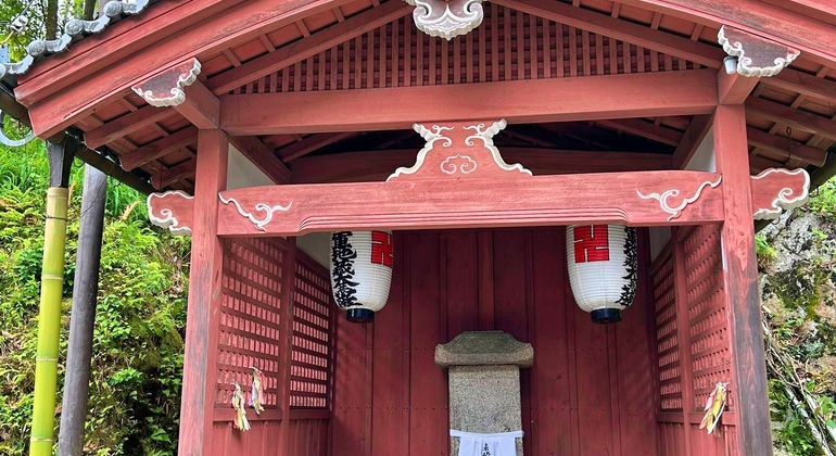Kioto: Arashiyama Bamboo & Adashino Temple Tour con recogida en el hotel Japón &mdash; #3