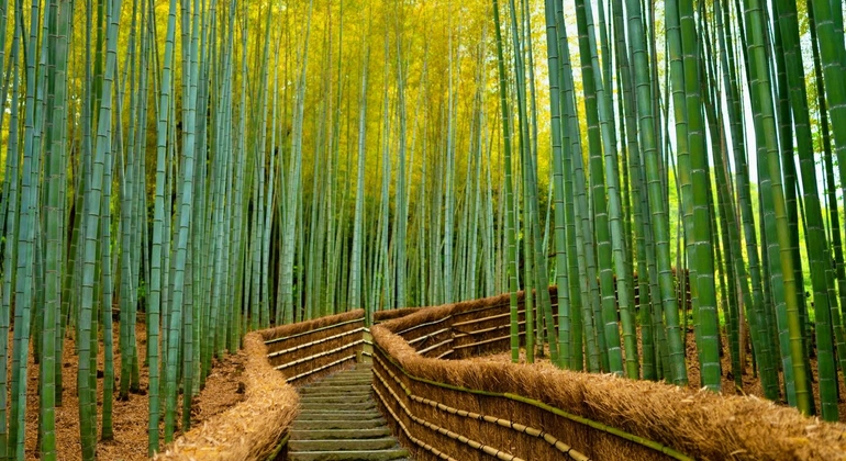 Kioto: Arashiyama Bamboo & Adashino Temple Tour con recogida en el hotel Japón &mdash; #10