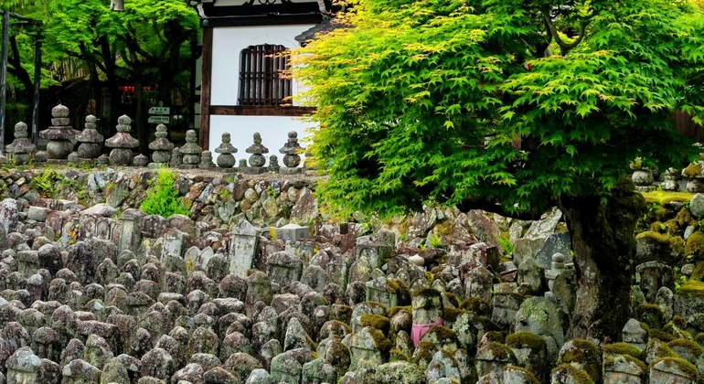 Kioto: Arashiyama Bamboo & Adashino Temple Tour con recogida en el hotel Japón &mdash; #11