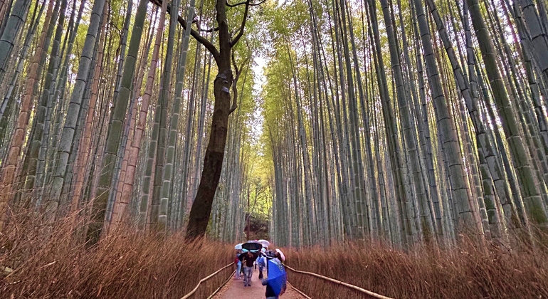 Kioto: Arashiyama Bamboo & Adashino Temple Tour con recogida en el hotel Japón &mdash; #14