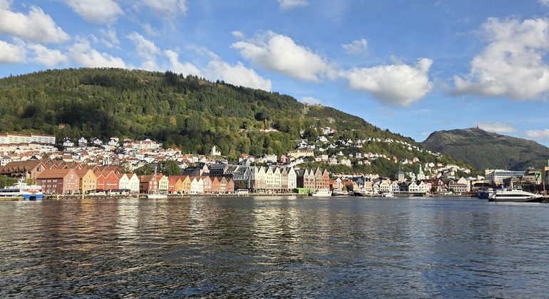 The Best Free Walking Tour of Bergen