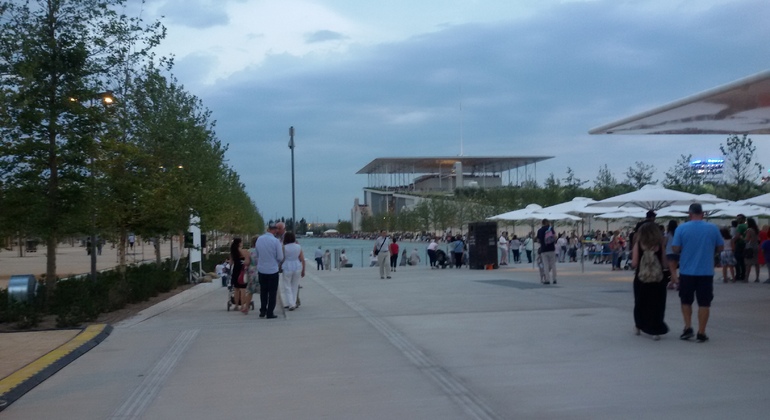 Exclusive Riviera, Stavros Niarchos, Palaio Faliro Small Group Tour Greece &mdash; #3