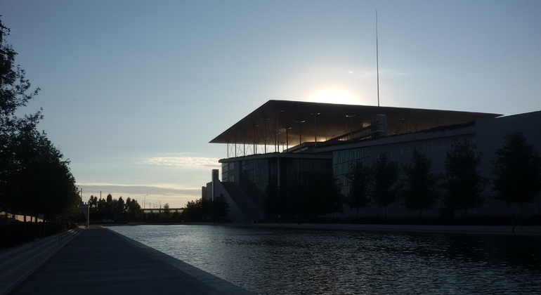 Exclusive Riviera, Stavros Niarchos, Palaio Faliro Small Group Tour Greece &mdash; #2