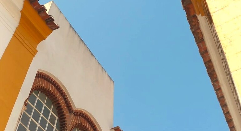 Évora Walking Tour: Historia y Patrimonio Portugal &mdash; #8