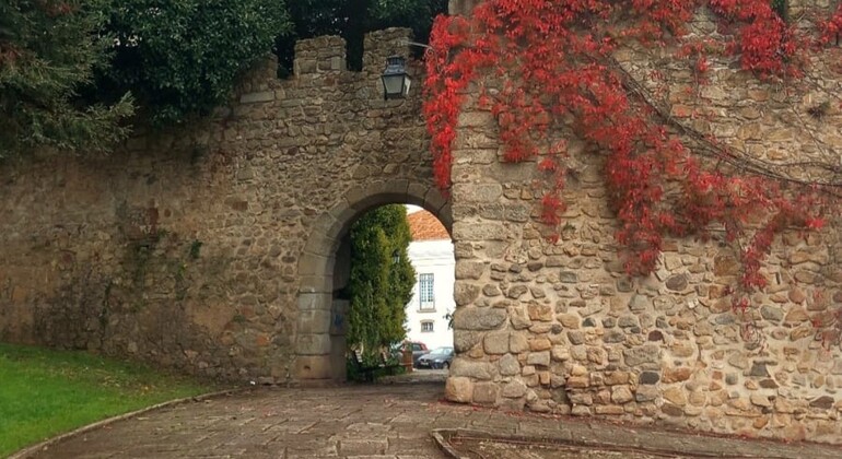 Évora Walking Tour: Historia y Patrimonio Portugal &mdash; #10