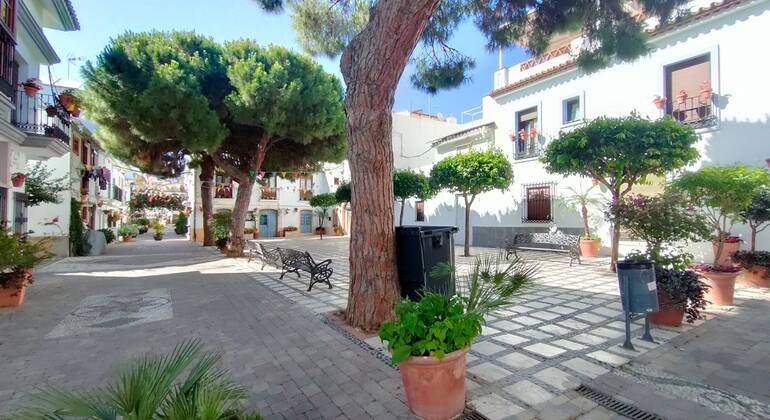 Le strade di Estepona: gioco di esplorazione autoguidato Spagna &mdash; #12