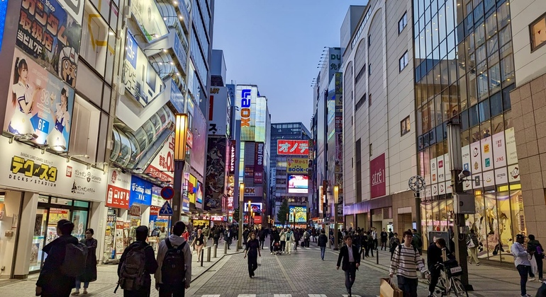 Free Tour por Akihabara y el Santuario Kanda Japón &mdash; #6