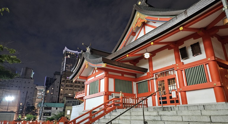 FreeTour a Pie por Shinjuku Japón &mdash; #4