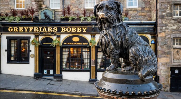 Edinburgh's Wizards: Self-Guided Exploration Game Scotland &mdash; #8