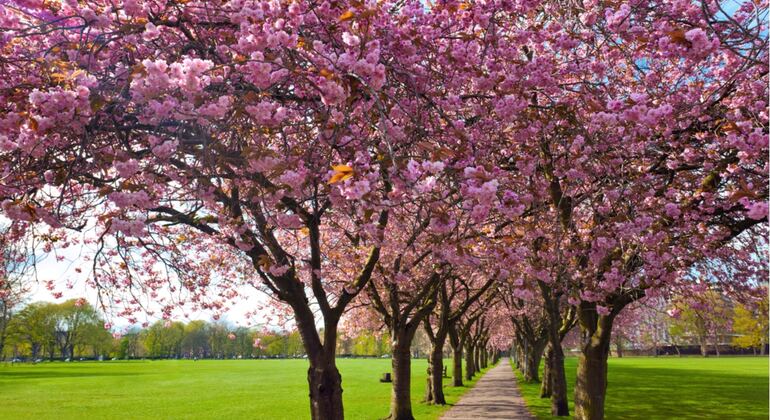 romantic-edinburgh-self-guided-exploration-game-es-4
