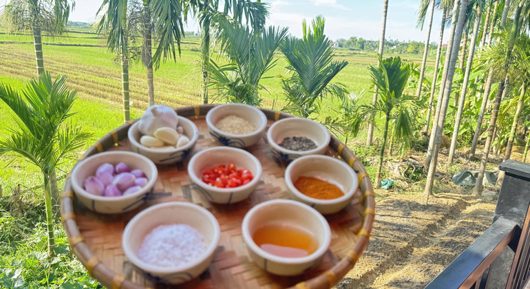 Hoi An Countryside Cooking Class with Lily's Family Vietnam &mdash; #5