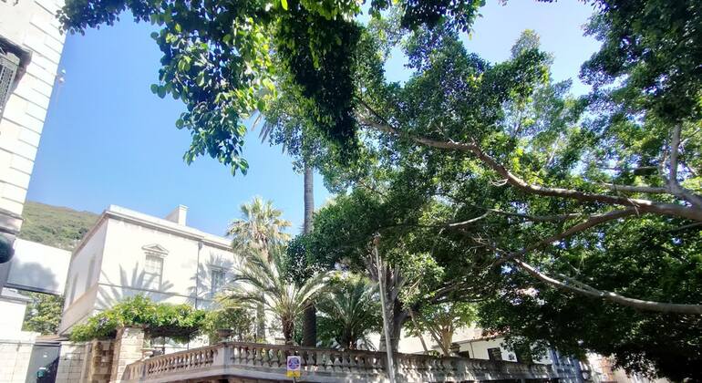 Discover Gibraltar: Self-Guided Exploration Game Gibraltar &mdash; #7