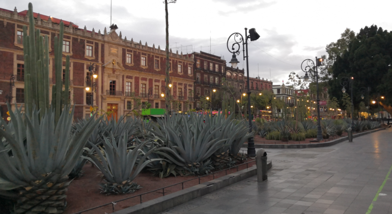 Tour Centro Histórico de México México &mdash; #5