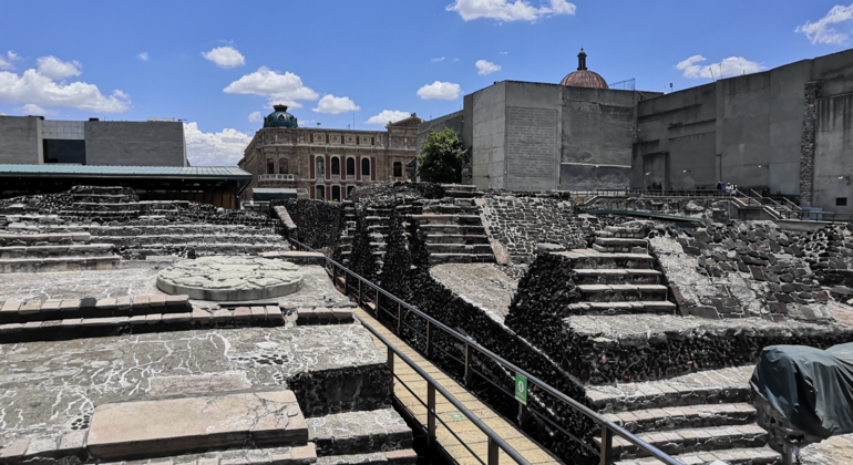Tour Centro Histórico de México México &mdash; #7