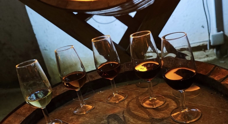 Jerez de la Frontera Walking Tour thru Tapas and Sweet Jerez Wine Spain &mdash; #1