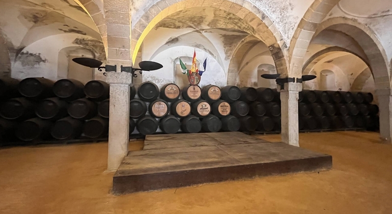 Jerez de la Frontera Walking Tour thru Tapas and Sweet Jerez Wine Spain &mdash; #2