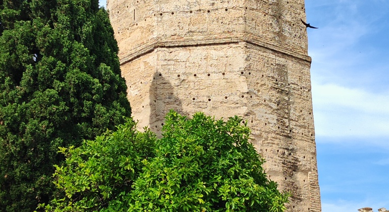 Jerez de la Frontera Walking Tour thru Tapas and Sweet Jerez Wine Spain &mdash; #4