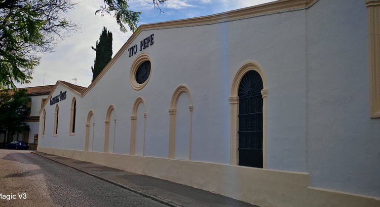 Jerez de la Frontera Walking Tour thru Tapas and Sweet Jerez Wine Spain &mdash; #5