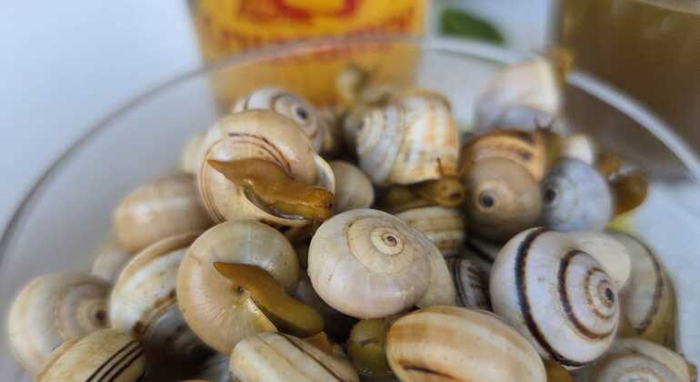 Jerez de la Frontera Walking Tour thru Tapas and Sweet Jerez Wine Spain &mdash; #12