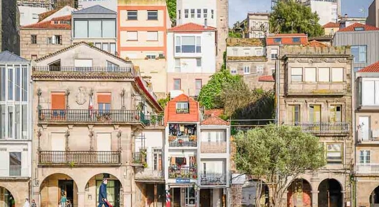 Vigo Free Tour with an Official Local Guide Spain &mdash; #1