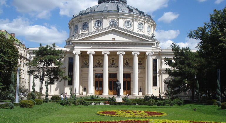 Relaxed Free Tour of Calea Victoriei Provided by Alin