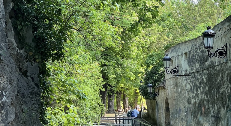 Brașov: Guided Walking Free Tour with Local Stories Romania &mdash; #10