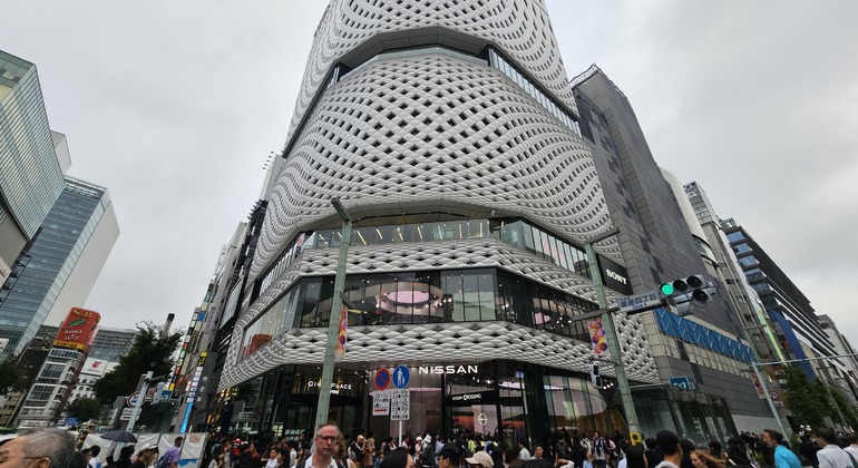 Tour Grupal por los Principales Barrios de Tokio Japón &mdash; #9