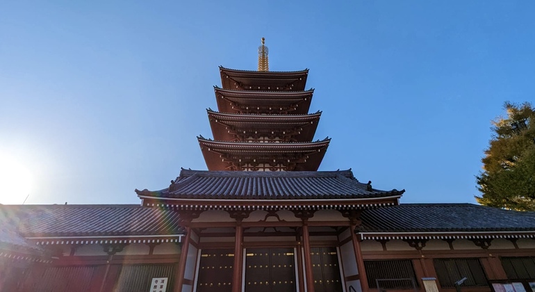 Tour Grupal por los Principales Barrios de Tokio Japón &mdash; #3