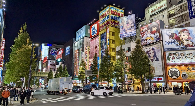 Tour Grupal por los Principales Barrios de Tokio Japón &mdash; #4